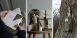 Seasonal Subscription Box: Are They a Thoughtful Gift?