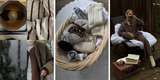 What Is a Burr Basket? Cosy Burr Basket Ideas & How to Make One